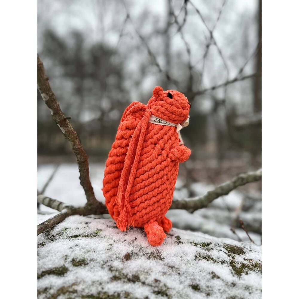 Monli Handcrafted Oliver the Squirrel Rope Dog + Cat Toy